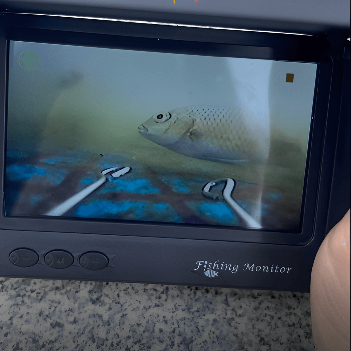 SeaScout™ Fish Cam