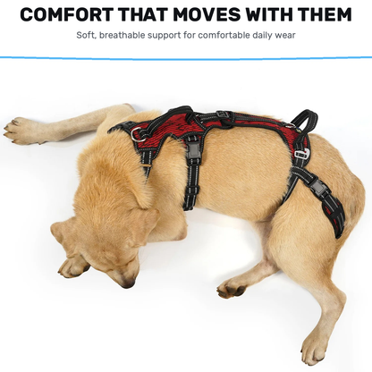 Alvento EasyLift™ Harness