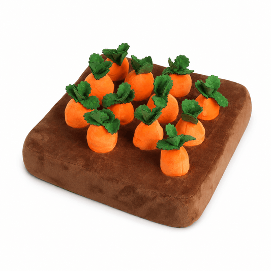 Alvento Carrot Garden