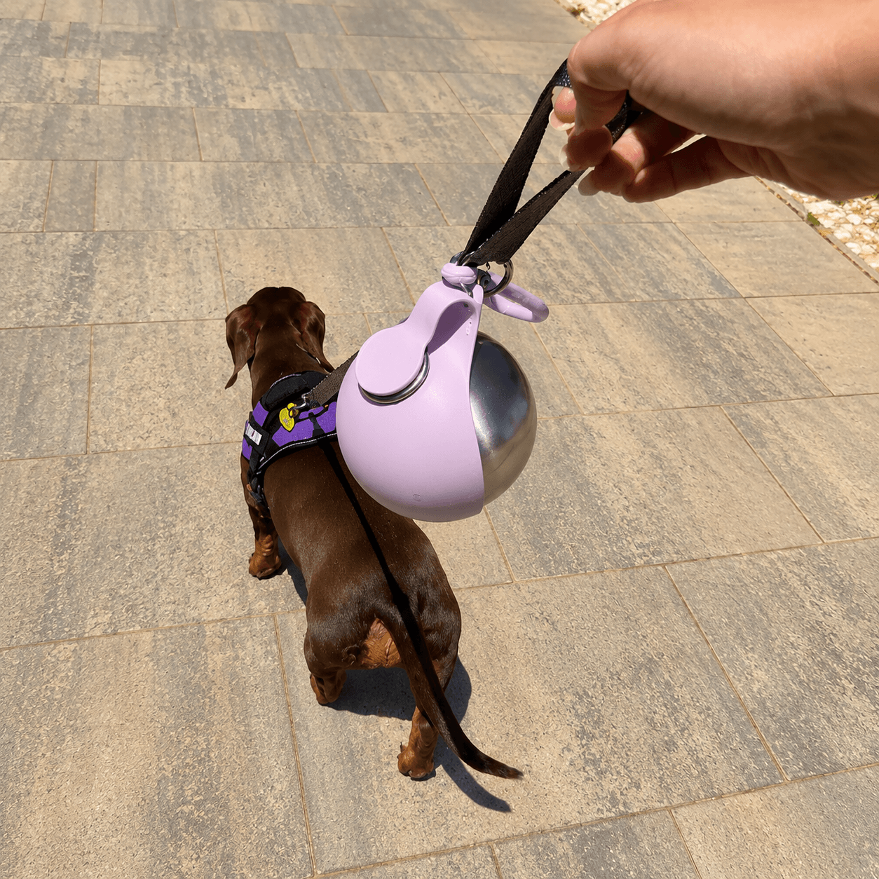 TrailPup™ Flask