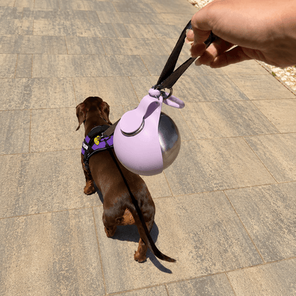 TrailPup™ Flask