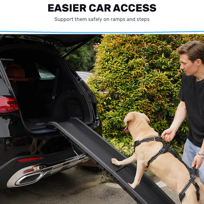 Alvento EasyLift™ Harness