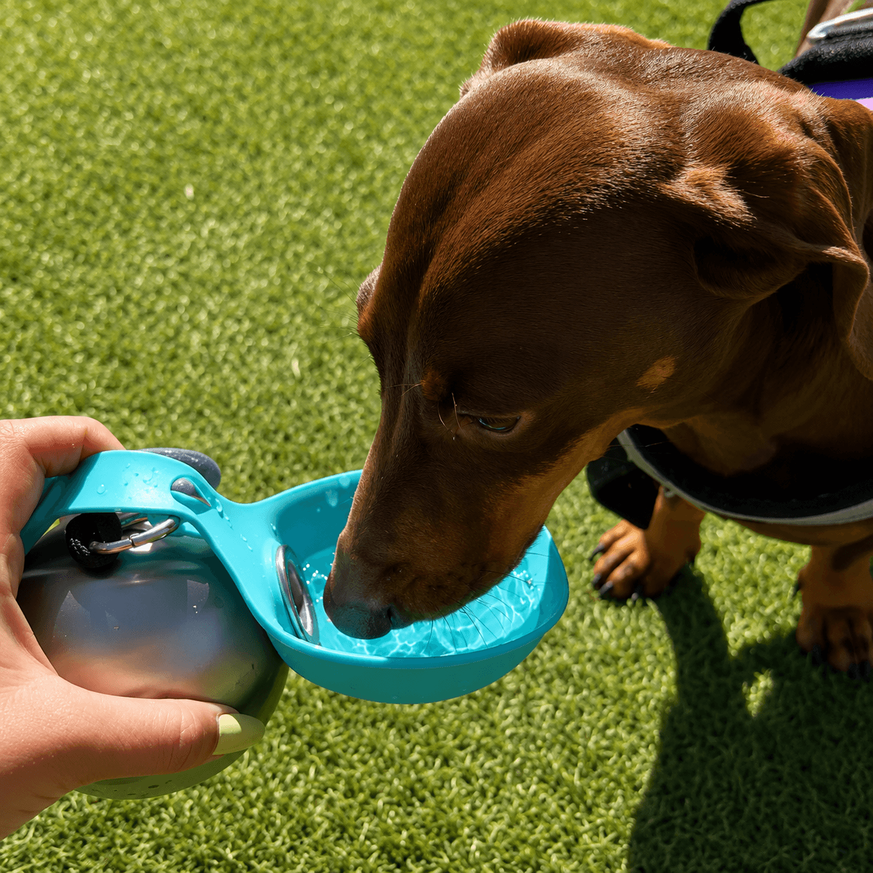 TrailPup™ Flask