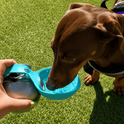 TrailPup™ Flask