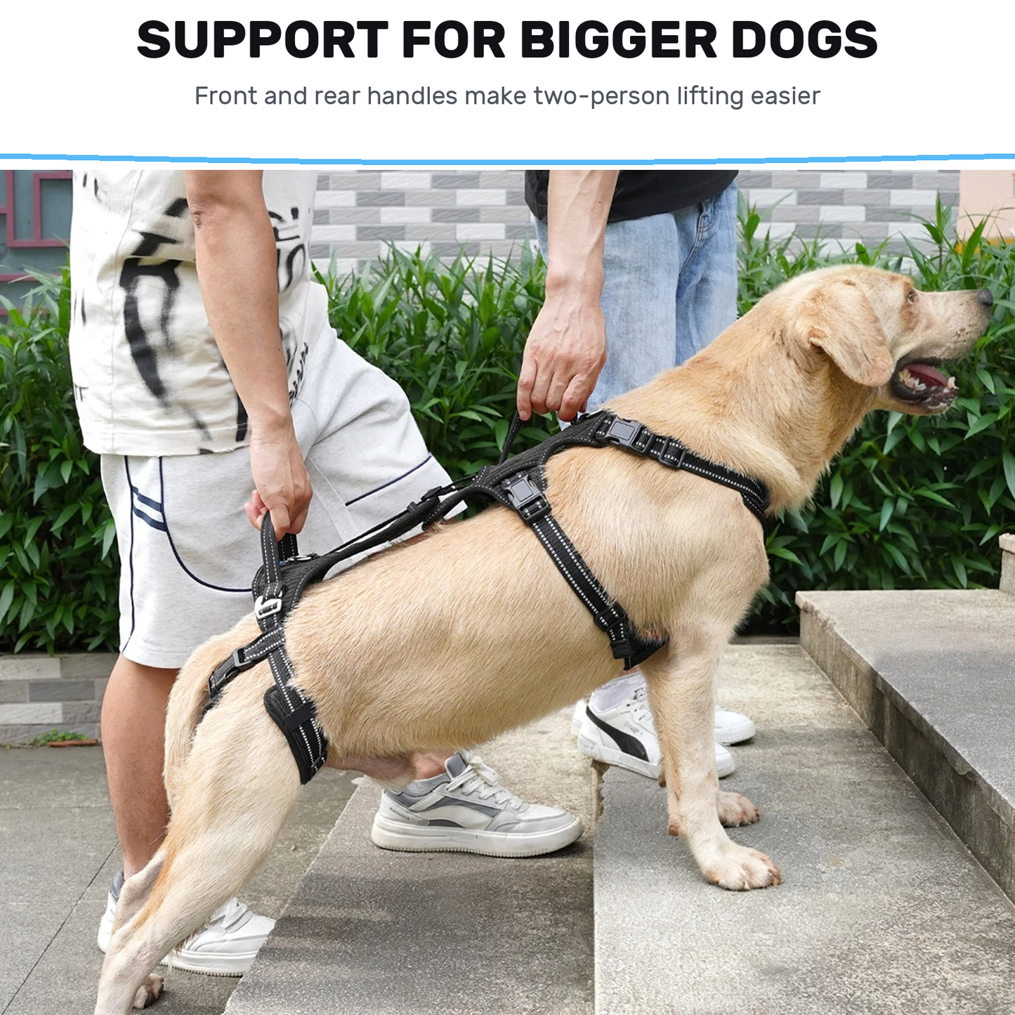 Alvento EasyLift™ Harness