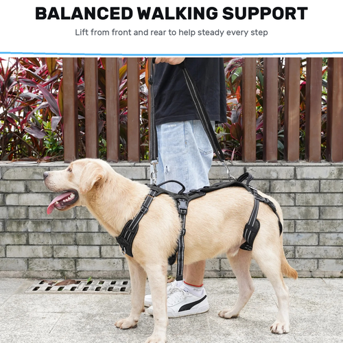 Alvento EasyLift™ Harness