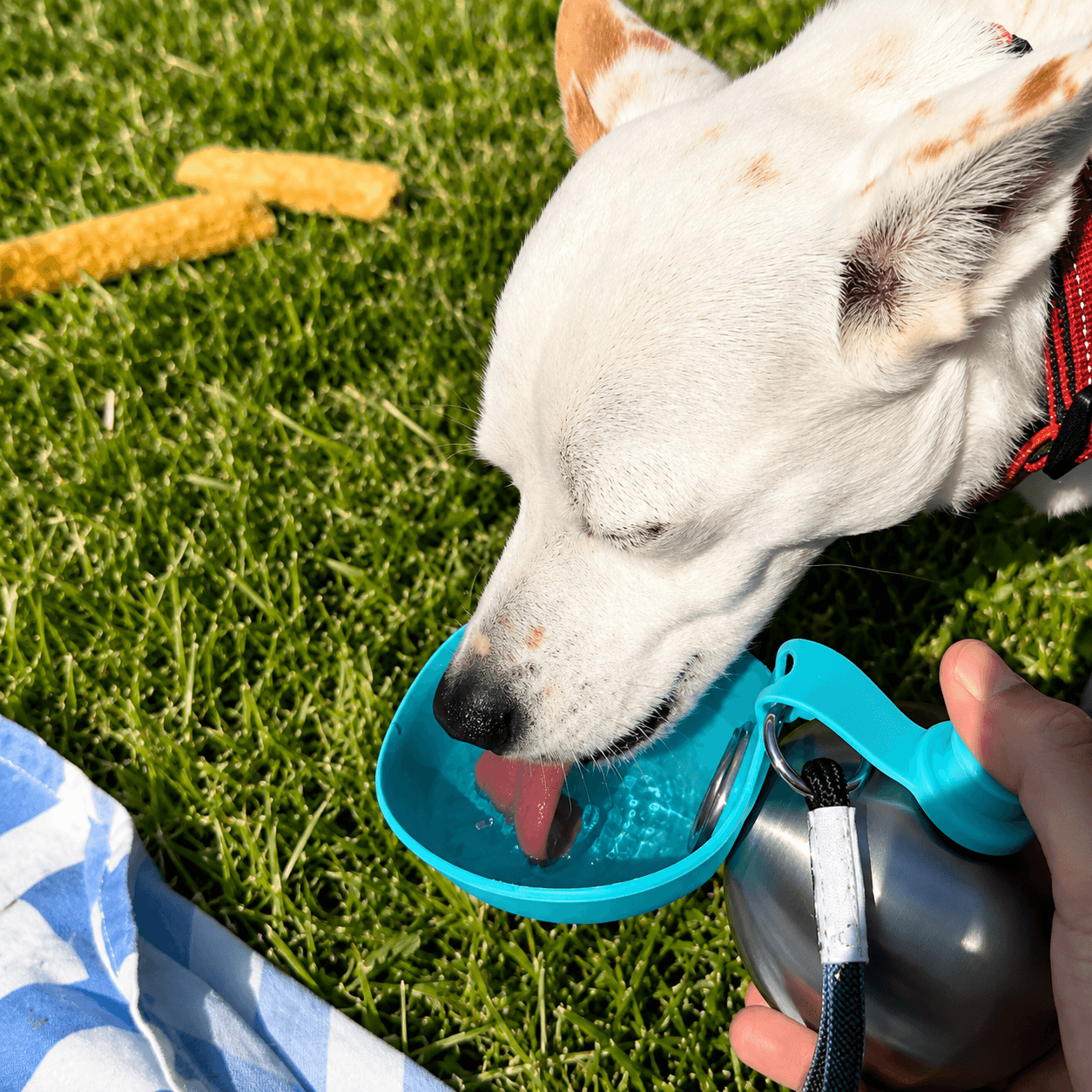 TrailPup™ Flask