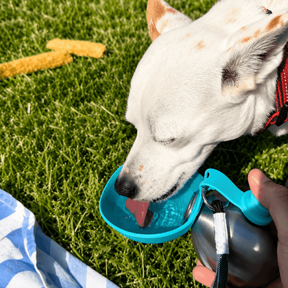 TrailPup™ Flask