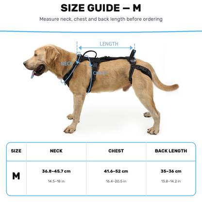 Alvento EasyLift™ Harness