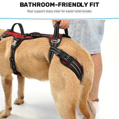 Alvento EasyLift™ Harness