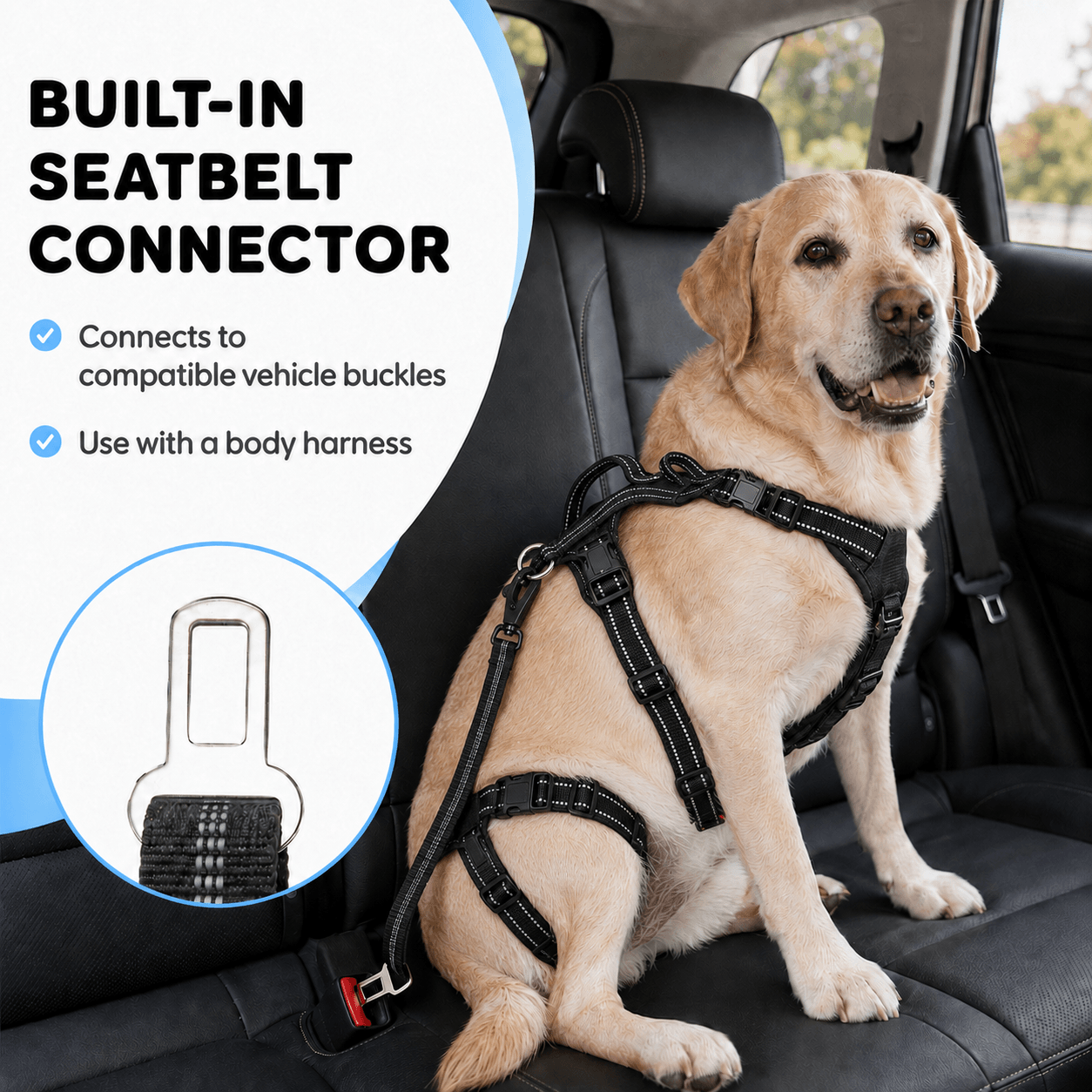 Alvento EasyWalk™ Leash
