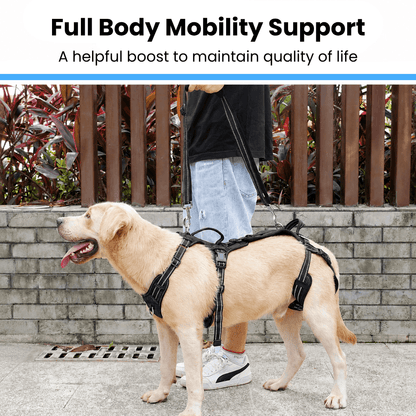 Alvento EasyLift™ Harness