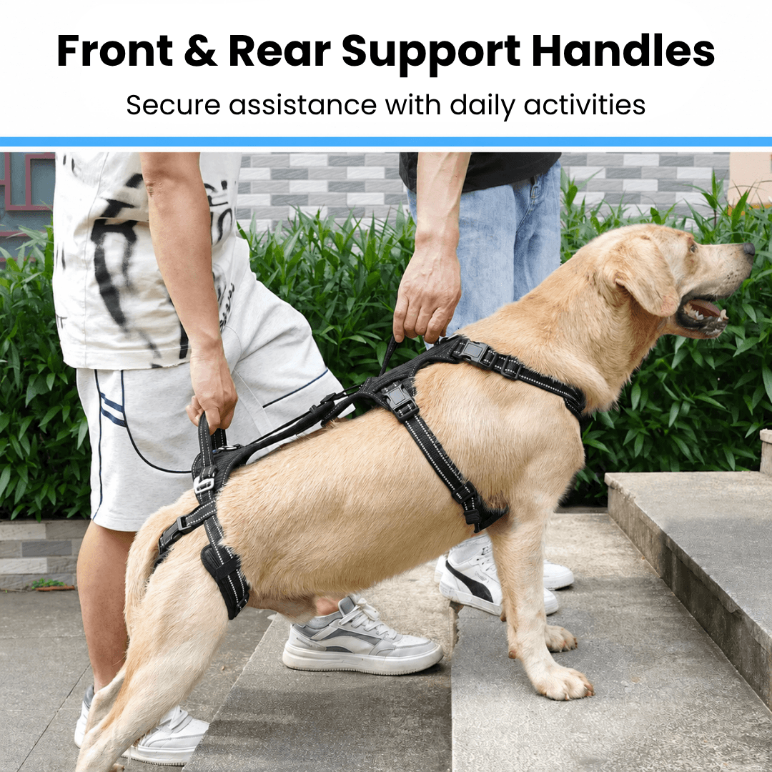 Alvento EasyLift™ Harness