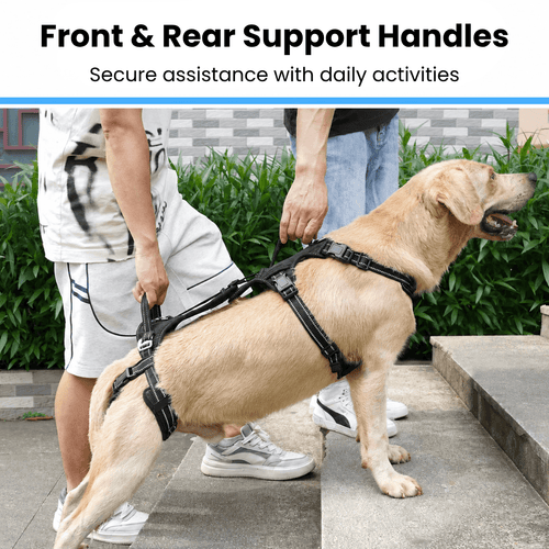 Alvento EasyLift™ Harness