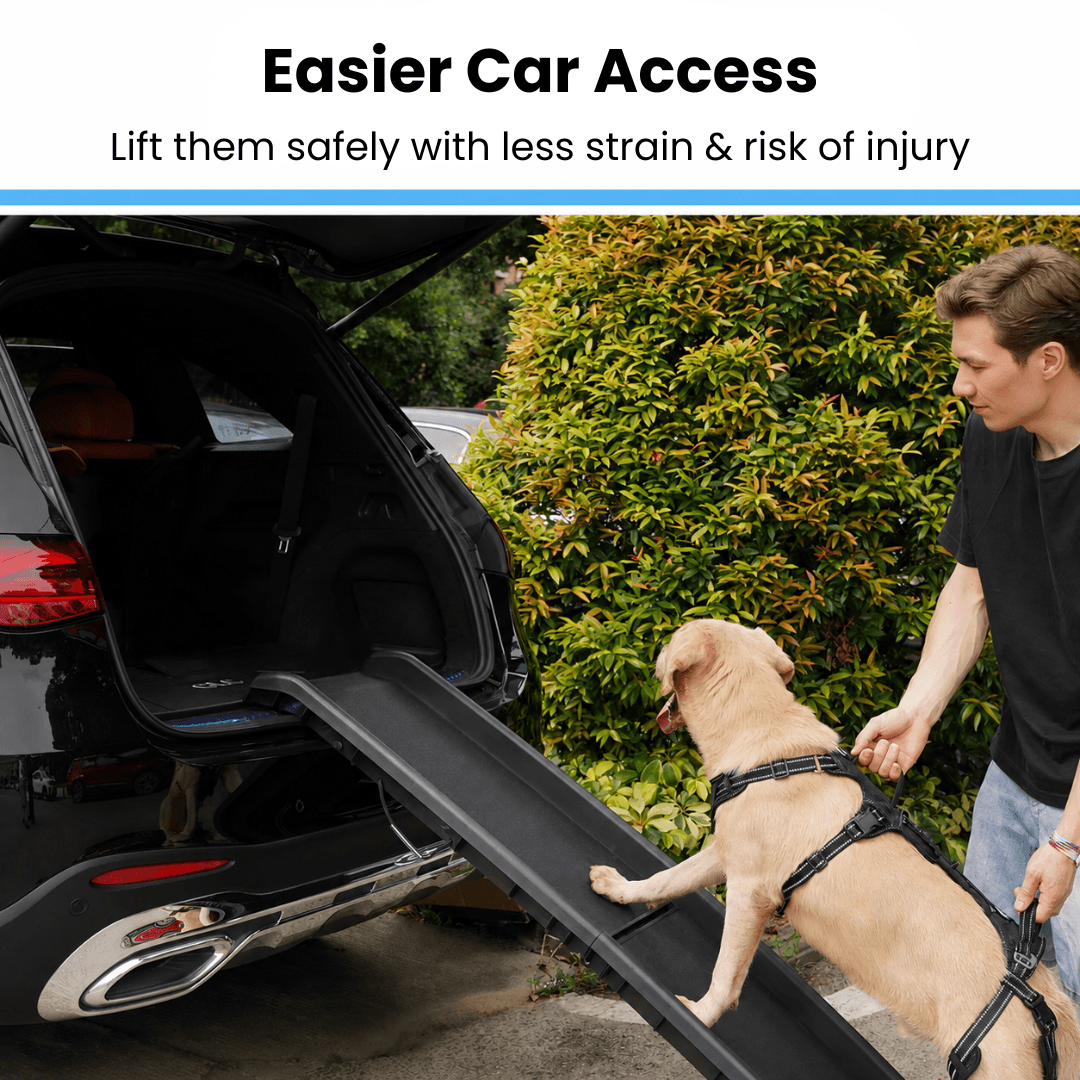 Alvento EasyLift™ Harness