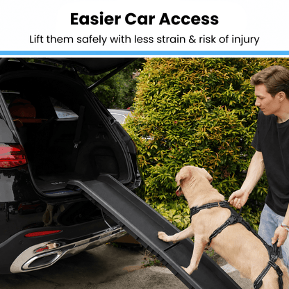 Alvento EasyLift™ Harness