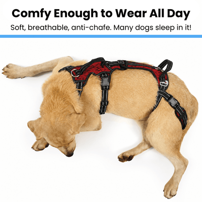 Alvento EasyLift™ Harness