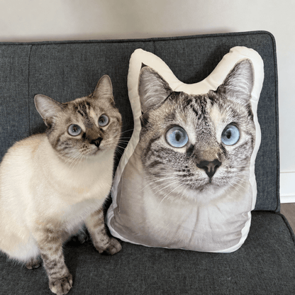 Alvento PawPillowz™