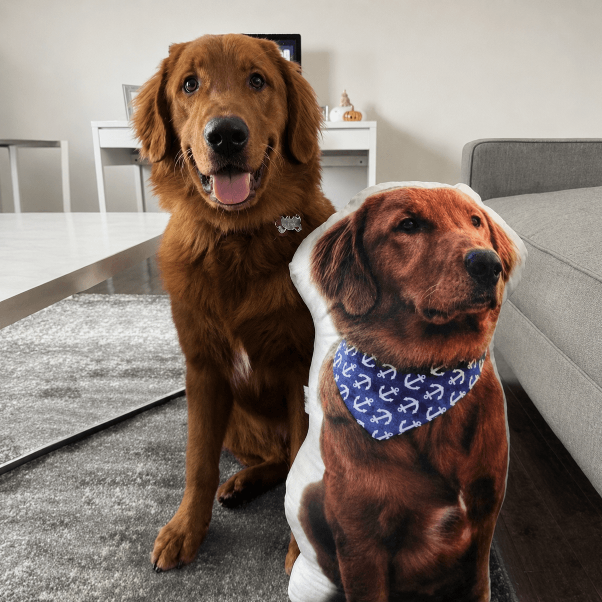 Alvento PawPillowz™