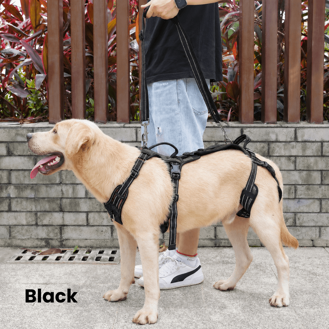 Alvento EasyLift™ Harness