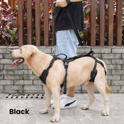 Alvento EasyLift™ Harness