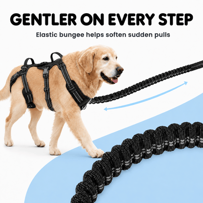 Alvento EasyWalk™ Leash