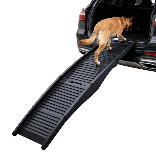 Alvento K9 Car Ramp
