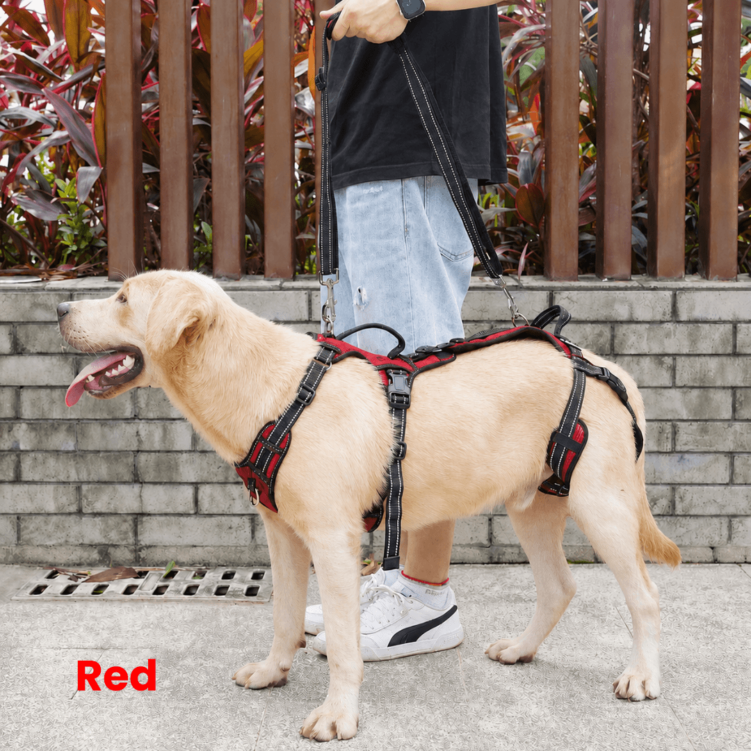 Alvento EasyLift™ Harness