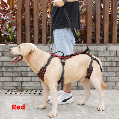 Alvento EasyLift™ Harness