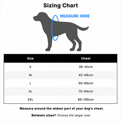 Alvento EasyLift™ Harness